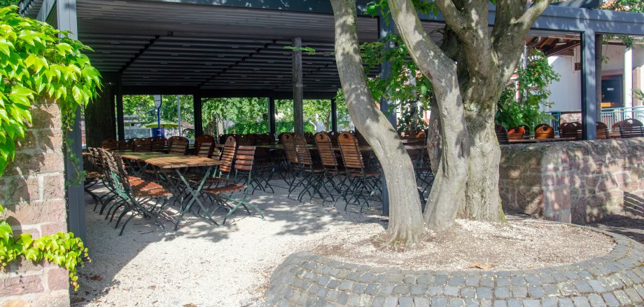 Blick zum Biergarten des Goldenen Apfels mit einem Baum im Vordergrund, Tischen und Stühlen und einen barrierefreien Weg.